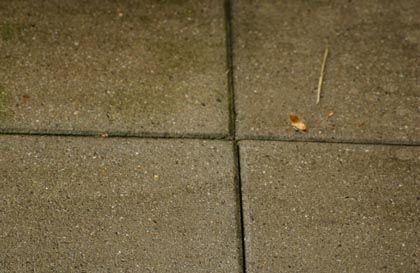 DSC_0030